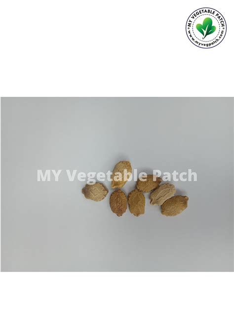 serbajadi seeds bitter gourd peria bbs038 195