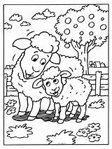 Kleurplaten Kleurplaat Lente Schaap Lammetje Schapen Lammetjes Animaux Kleuter Printen Tekeningen Boerderij Binatang Hewan Mewarnai Schaf Coloriages Animasi Animal Juf sketch template