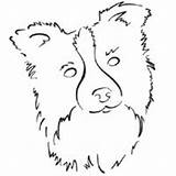 Coloring Collie Face Pages Border Puppy Dog Boarder Surfnetkids sketch template