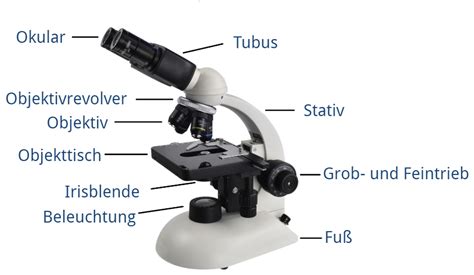mikroskop beschriftung lichtmikroskop erklaert inkl uebungen