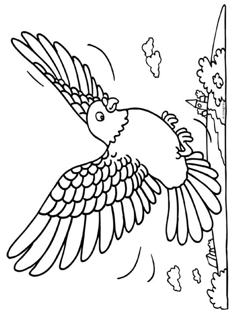 coloring page bird coloring pages