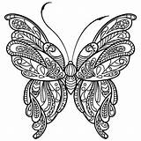 Papillon Bojanke Odrasle Colorare Adulte Colouring sketch template