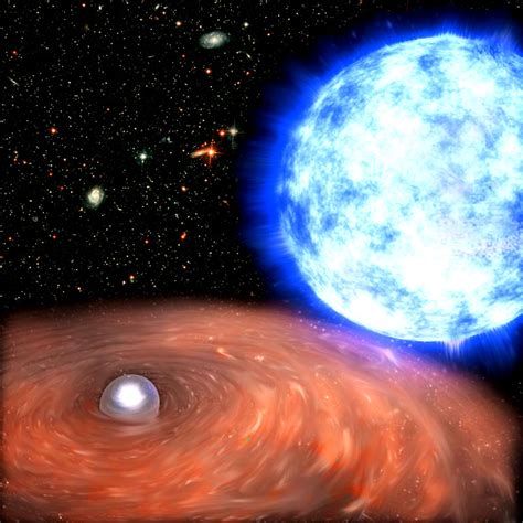 xmm newton uncovers  white dwarf star circling  companion star