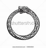 Ouroboros Coloring Designlooter Eternity Snake Infinity Tail Symbol Eating Own Its sketch template