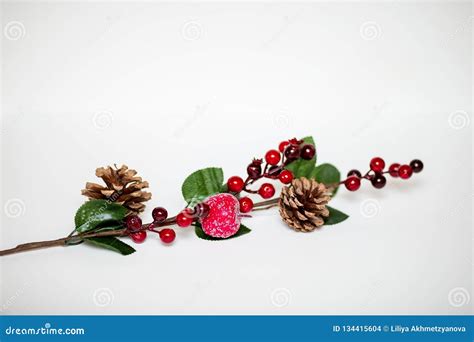 christmas decorative twig   holiday decoration stock photo image