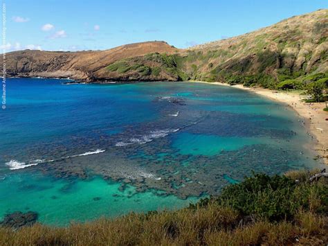 snorkeling  hanauma bay oahu snorkeling  hawaii