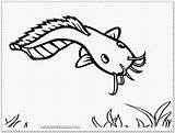 Ikan Lele Mewarnai Catfish Sketsa Bandeng Kolase Colouring Kunjungi Gambarmewarnai sketch template