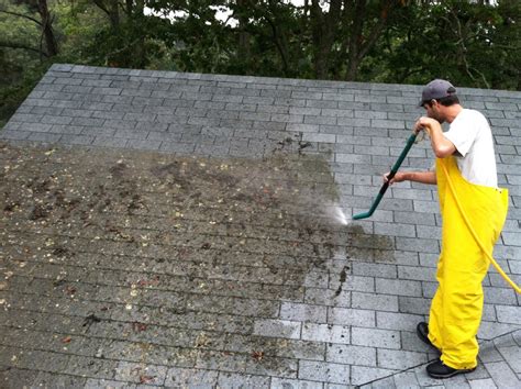 dos  donts  cleaning  home roof companion maids