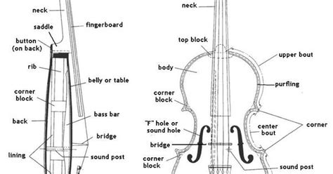 parts   violin violin diagram violin diagrams  scans pinterest violin