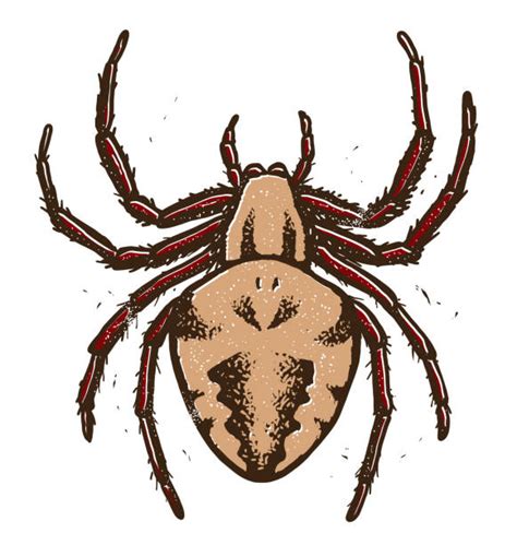 Spider Legs Illustrations Royalty Free Vector Graphics And Clip Art Istock