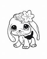 Coloring Pages Pet Puppy Baby Dog Lps Littlest Shop Cute Bunny Printable Chihuahua Puppies Fluffy Dogs Cat Little Print Kids sketch template
