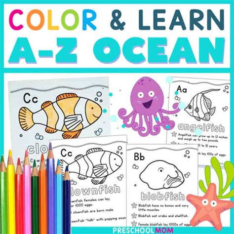 ocean animal coloring pages preschool mom