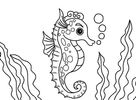 animal colouring pages  kids animal ocean coloring pages