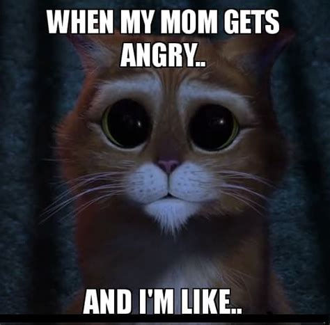 20 angry mom memes that ll make you laugh sheideas