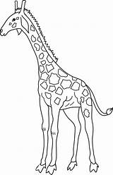 Giraffe Clip Coloring Lineart Clipart Outline Line Cliparting Simple Cute Sweetclipart sketch template