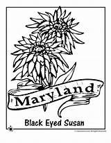 Maryland Coloring Flower State Pages Flag Gif Flowers Kids Woo Jr Activities Printable Choose Board Popular sketch template