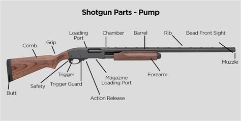 shotgun basics identifying parts  functions tactical gear superstore tacticalgearcom