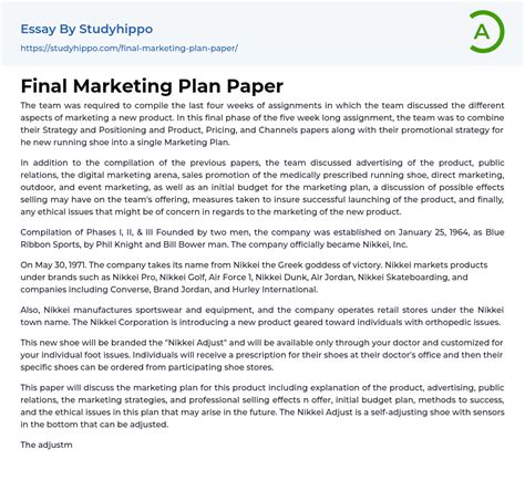 final marketing plan paper essay  studyhippocom