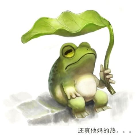17 best images about frogs on pinterest watercolors frog illustration and cartoon