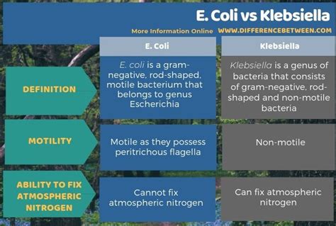 difference between e coli and klebsiella compare the