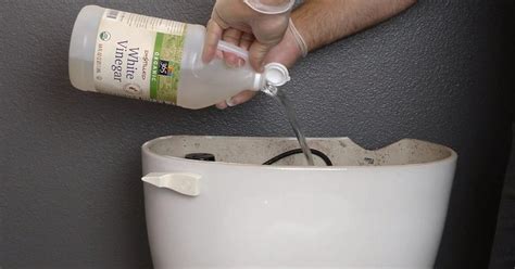 pours vinegar   toilet tank  flushes  result  genius