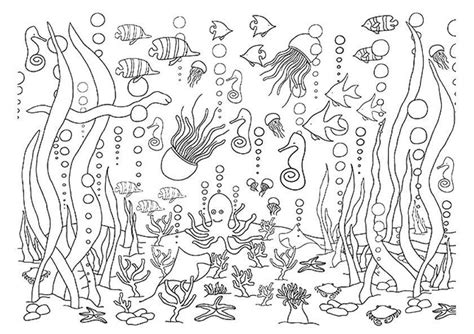 underwater animals  ocean coloring pages  adult stress relief