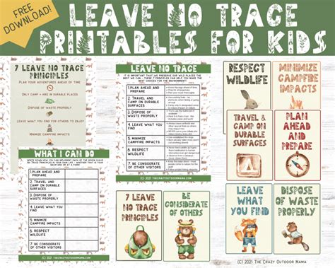 leave  trace principles printable  worksheet  kids girl