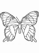 Schmetterlinge Malvorlage Vlinders Complicated Stimmen sketch template