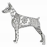 Doberman Coloring Pages Dog Stylized Illustration Zentangle Pinscher Vector Stock Color Depositphotos Getcolorings Dobermann Drawings Choose Board sketch template