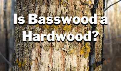 basswood  hardwood  hard  basswood woodworkly