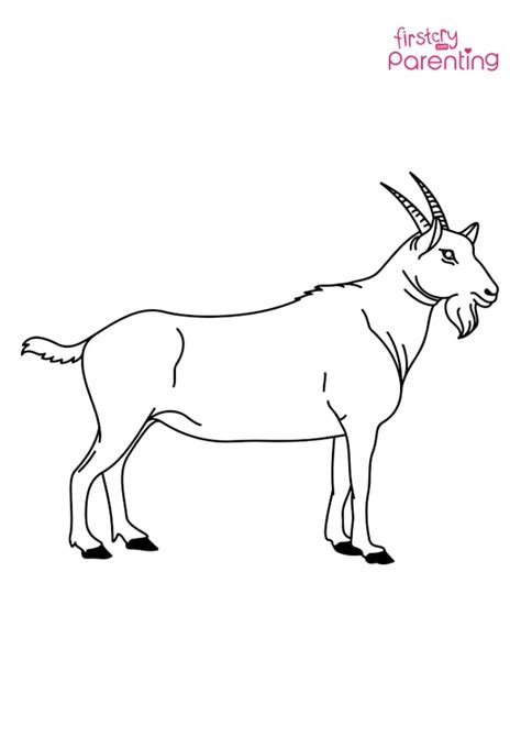 billy goat coloring page  kids firstcry parenting
