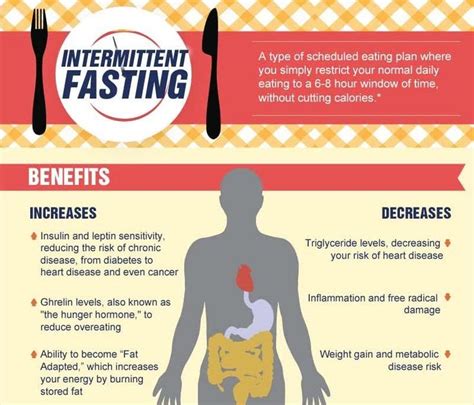 infographic  intermittent fasting discusses  benefits