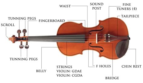 parts   violin  bow   violin