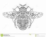 Adults Coloring Vector Bumblebee Book Zentangle Illustration Preview sketch template