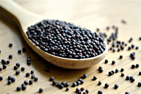black mustard seeds anthony  spice maker