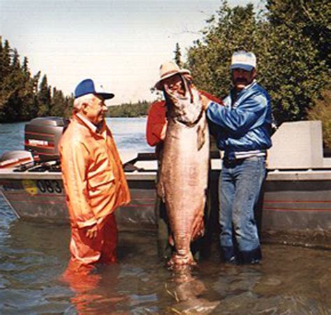 story   world record king salmon