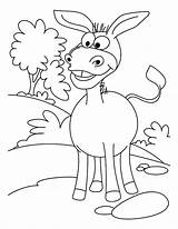 Donkey Coloring Pages Mexican Grin Big Sunny sketch template