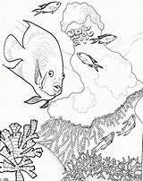 Coral Reef Coloring Kids Pages Popular sketch template