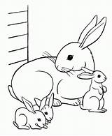 Coloring Pages Rabbit Bunny Kids Printable Color Bunnies Print Baby Cute Animal sketch template