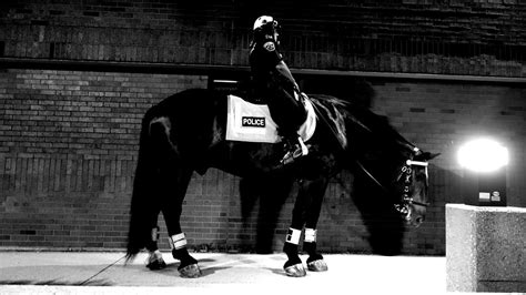 mounted patrol unit dscbw  mounted patrol unit mp flickr
