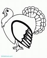 Turkey Coloring Feather Popular sketch template