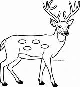 Deer Coloring Cartoon Spotted Pages Wecoloringpage Animal sketch template