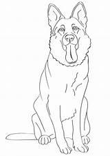 German Shepherd Coloring Pages Kids Colouring Onlycoloringpages Dog Puppy sketch template