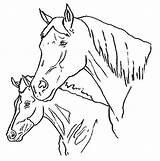 Caballos Caballo Cavalli Dibujos Disegni Malvorlagen Cavalos Pferde Chevaux Cavallo Coloring Salvajes Colorare Caras Cabezas Konji Playmobil Cheval Colorea Konja sketch template