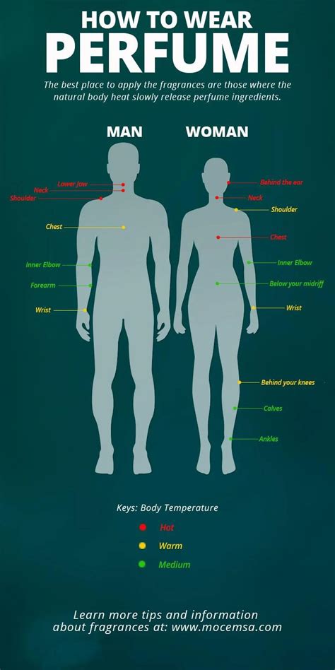 guide    places  apply  fragrance daily infographic