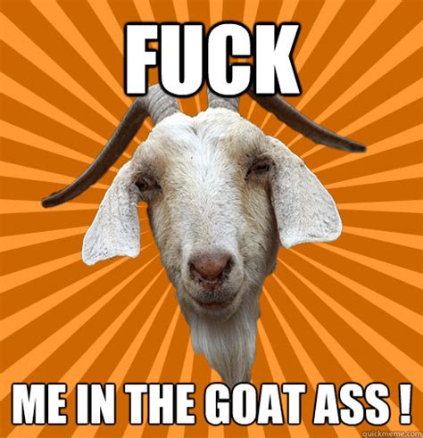 Fuck Me In The Goat Ass Genuinely Interested Goat
