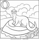 Otter Coloring Pages Sea Baby Getcolorings Printable Print Color sketch template