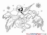 Winter Colouring Bullfinch Kids Coloring Pages Sheet Title sketch template