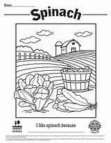 Spinach sketch template