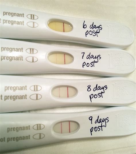 can you take a pregnancy test 10 days after ovulation